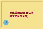 野生黄精介绍(野生黄精天然补气圣品)