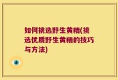 如何挑选野生黄精(挑选优质野生黄精的技巧与方法)