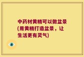 中药材黄精可以做盆景(用黄精打造盆景，让生活更有灵气)