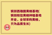 铜鼓西雅图黄精基地(铜鼓阳信黄精种植基地开业，全球采购黄精，只为品质生长)