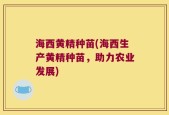 海西黄精种苗(海西生产黄精种苗，助力农业发展)