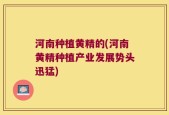 河南种植黄精的(河南黄精种植产业发展势头迅猛)