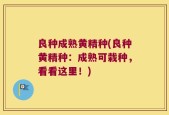 良种成熟黄精种(良种黄精种：成熟可栽种，看看这里！)