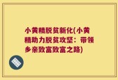 小黄精脱贫新化(小黄精助力脱贫攻坚：带领乡亲致富致富之路)