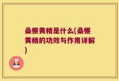 桑椹黄精是什么(桑椹黄精的功效与作用详解)