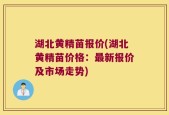 湖北黄精苗报价(湖北黄精苗价格：最新报价及市场走势)