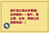 桑叶蒲公英杜仲黄精(五种植物——桑叶、蒲公英、杜仲、黄精让你健康有益！)