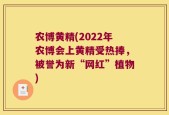农博黄精(2022年农博会上黄精受热捧，被誉为新“网红”植物)
