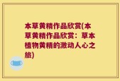 本草黄精作品欣赏(本草黄精作品欣赏：草本植物黄精的激动人心之旅)
