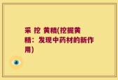 采 挖 黄精(挖掘黄精：发现中药材的新作用)