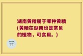 湖南黄精属于哪种黄精(黄精在湖南也是常见的植物，可食用。)