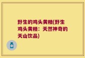 野生的鸡头黄精(野生鸡头黄精：天然神奇的天山饮品)