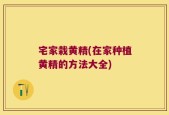 宅家栽黄精(在家种植黄精的方法大全)