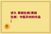 状久 黄精牡蛎(黄精牡蛎：中医药材的珍品)