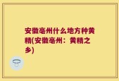 安徽亳州什么地方种黄精(安徽亳州：黄精之乡)