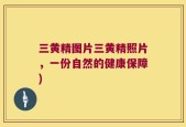 三黄精图片三黄精照片，一份自然的健康保障)