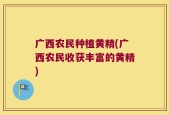 广西农民种植黄精(广西农民收获丰富的黄精)