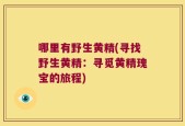 哪里有野生黄精(寻找野生黄精：寻觅黄精瑰宝的旅程)