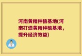 河南黄精种植基地(河南打造黄精种植基地，提升经济效益)