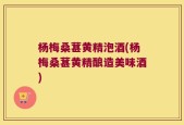 杨梅桑葚黄精泡酒(杨梅桑葚黄精酿造美味酒)