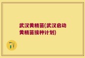 武汉黄精苗(武汉启动黄精苗接种计划)