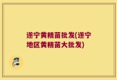 遂宁黄精苗批发(遂宁地区黄精苗大批发)