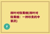四叶对称黄精(四叶对称黄精：一种珍贵的中草药)