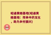 昭通黄精基地(昭通黄精基地：传承中药文化，助力乡村振兴)