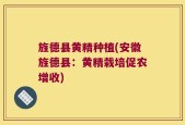 旌德县黄精种植(安徽旌德县：黄精栽培促农增收)