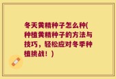冬天黄精种子怎么种(种植黄精种子的方法与技巧，轻松应对冬季种植挑战！)