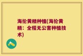海伦黄精种植(海伦黄精：全程无公害种植技术)