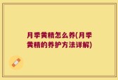 月季黄精怎么养(月季黄精的养护方法详解)