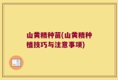 山黄精种苗(山黄精种植技巧与注意事项)