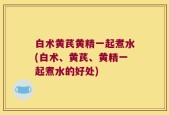 白术黄芪黄精一起煮水(白术、黄芪、黄精一起煮水的好处)