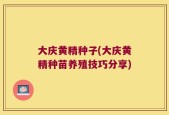 大庆黄精种子(大庆黄精种苗养殖技巧分享)