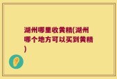 湖州哪里收黄精(湖州哪个地方可以买到黄精)