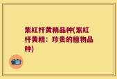 紫红杆黄精品种(紫红杆黄精：珍贵的植物品种)
