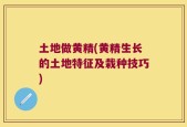 土地做黄精(黄精生长的土地特征及栽种技巧)