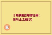 牤蛎黄精(黄精牡蛎：海与土之精华)