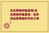 青岛黄精种植基地(青岛黄精种植基地：培育高品质黄精的专业之地)