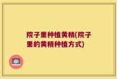 院子里种植黄精(院子里的黄精种植方式)