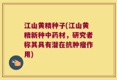 江山黄精种子(江山黄精新种中药材，研究者称其具有潜在抗肿瘤作用)