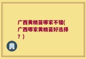 广西黄精苗哪家不错(广西哪家黄精苗好选择？)