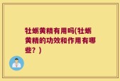 牡蛎黄精有用吗(牡蛎黄精的功效和作用有哪些？)
