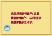 忠县黄精种植户(忠县黄精种植户：从种植到销售的经验分享)