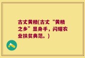 古丈黄精(古丈“黄精之乡”显身手，闪耀农业扶贫典范。)