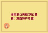 湖南洞口黄精(洞口黄精：湖南特产珍品)