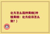 北方怎么栽种黄精(种植黄精：北方应该怎么做？)