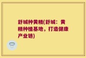 舒城种黄精(舒城：黄精种植基地，打造健康产业链)