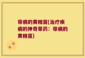 带病的黄精苗(治疗疾病的神奇草药：带病的黄精苗)